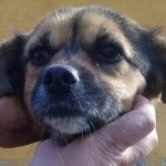 Rudy1