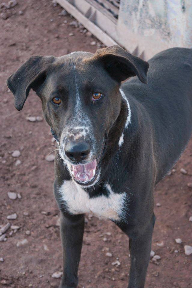 13051558_1197151250308653_8246041435364307286_n