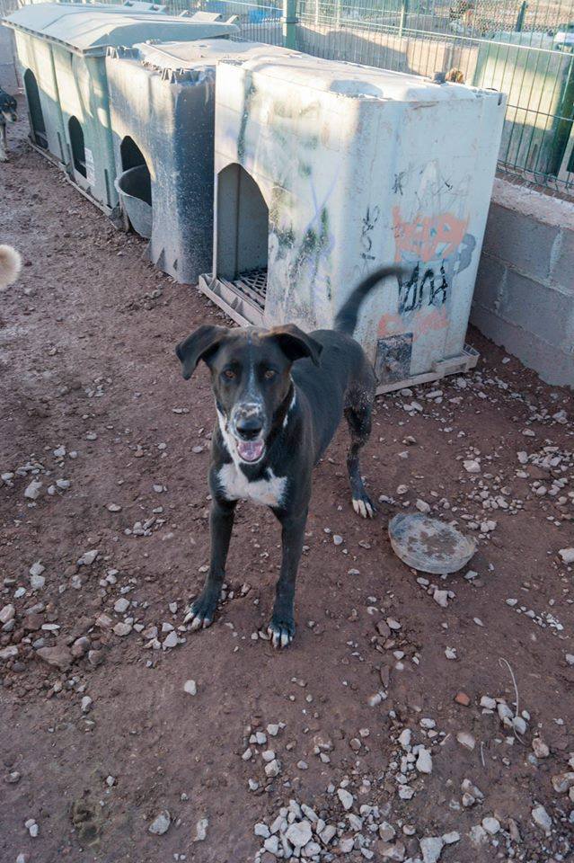 13096216_1197151253641986_879958845842766340_n