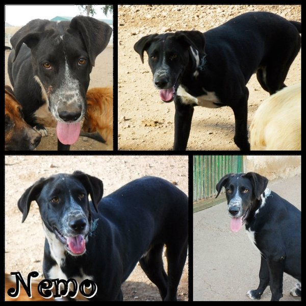 228877_123368257761634_4919288_n