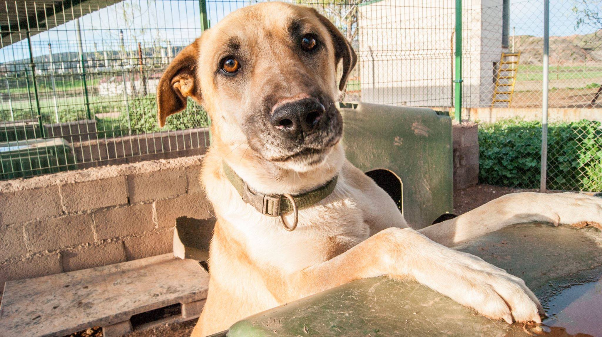 14500377_1320266081330502_742458725413753592_o