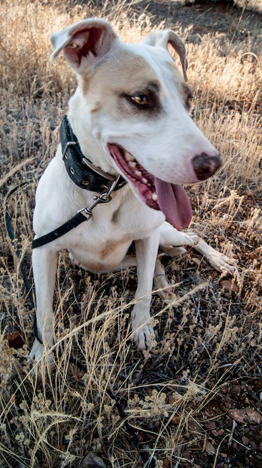 13754636_1253819244641853_2726409220496038753_n