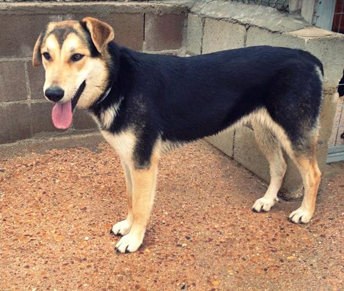 1017371_522208717877584_313603958_n