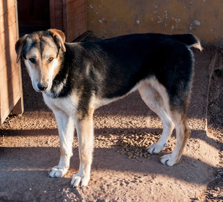 10333657_10206142637141461_5005611270289713690_o