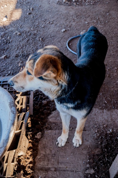 1077273_10206142635261414_4126338680488978966_o