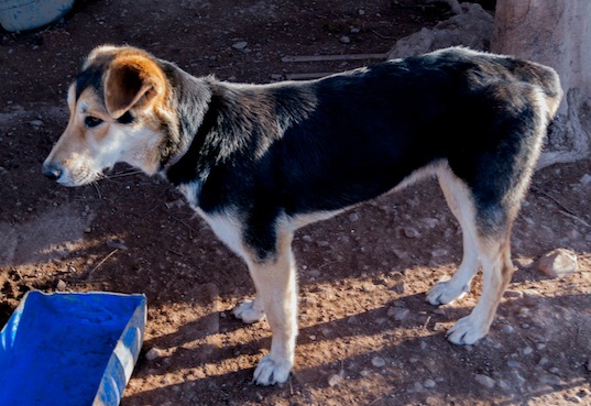 11357155_10206142635461419_340875859911557045_o