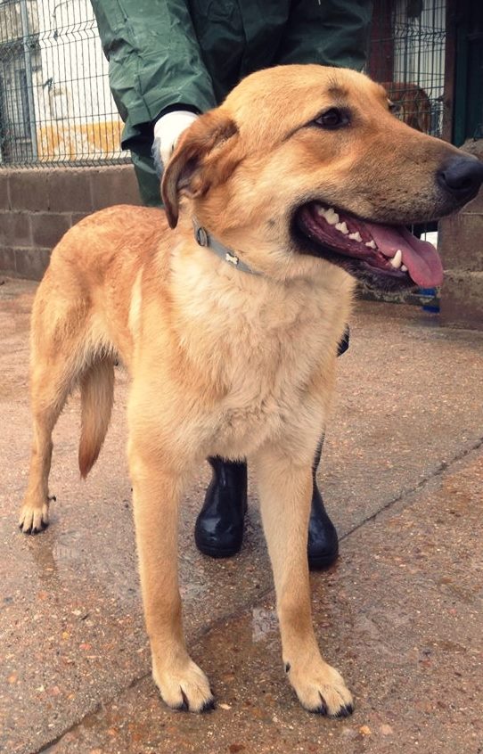 1184853_522222321209557_1164212198_n