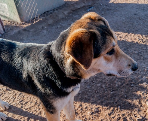 1534750_10206142635381417_997640435258570015_o