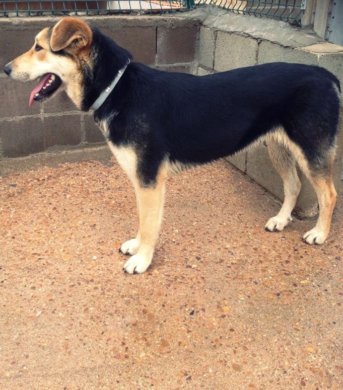 1555534_522209321210857_1780981471_n