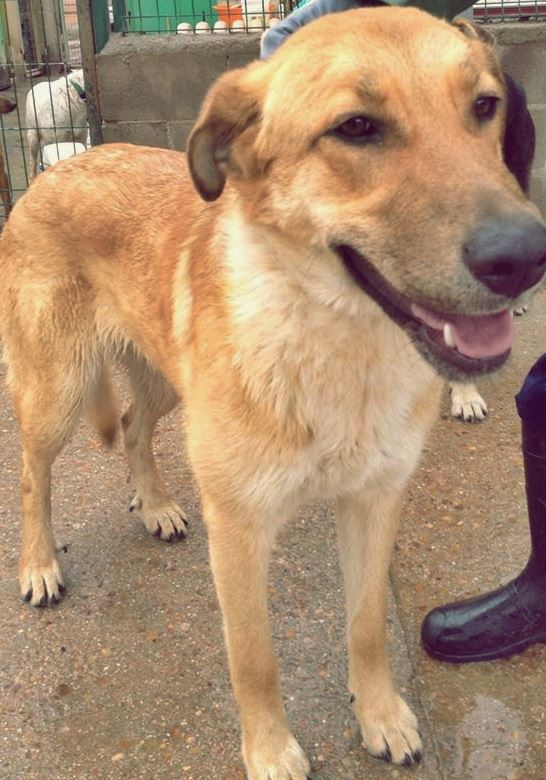 551281_522222344542888_1988674899_n