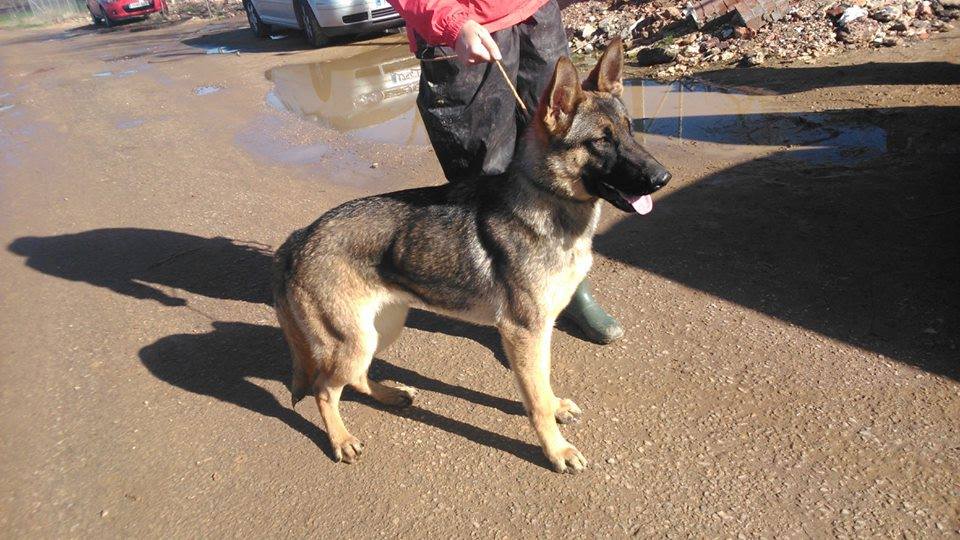 996572_523632321068557_2045233554_n(1)