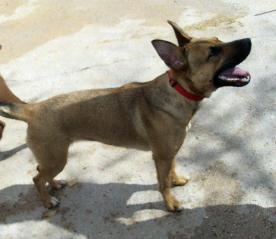 1012594_785858531437929_7430576968914356731_n