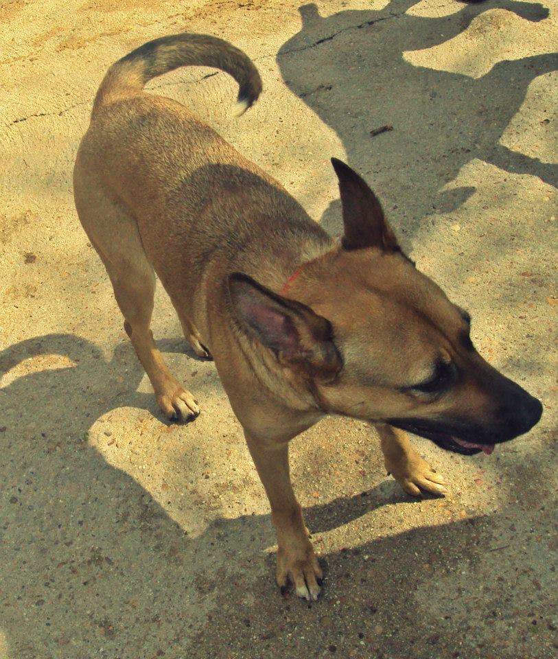 10171025_785858621437920_120480857292501698_n