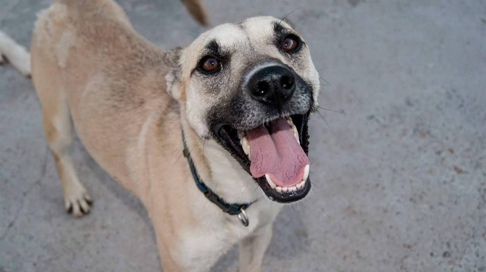 12027647_1070898789600567_671666367314108629_n