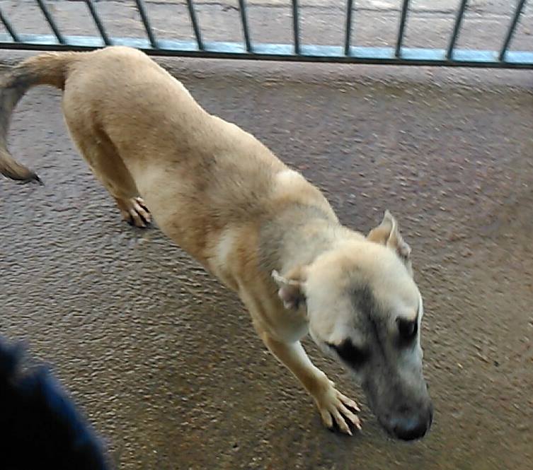 1239765_762027493821033_1330726530_n