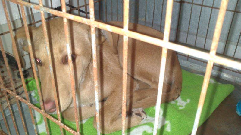 1912338_767010453322737_1026358132_n