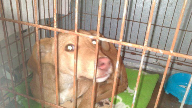 1920255_767010456656070_718422493_n