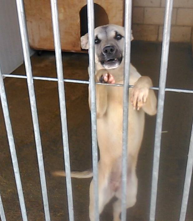 1922367_762029703820812_100519255_n