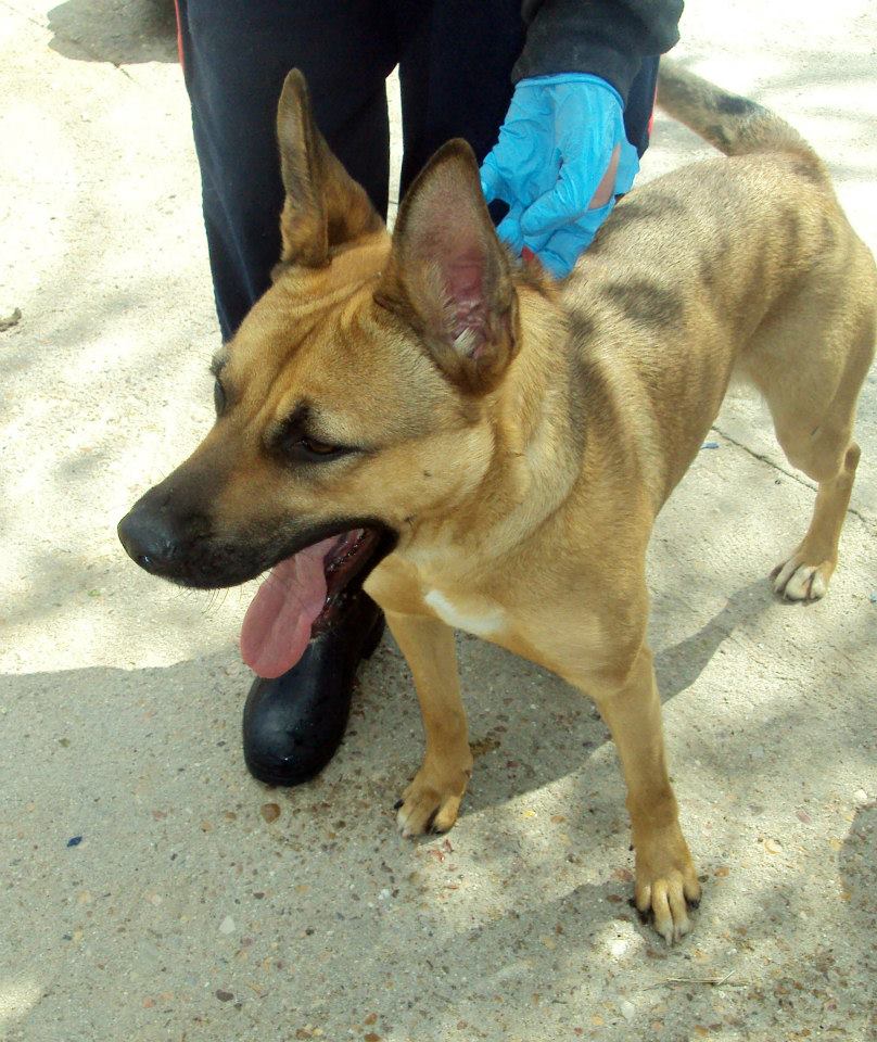 71487_785858601437922_7248665935715705707_n