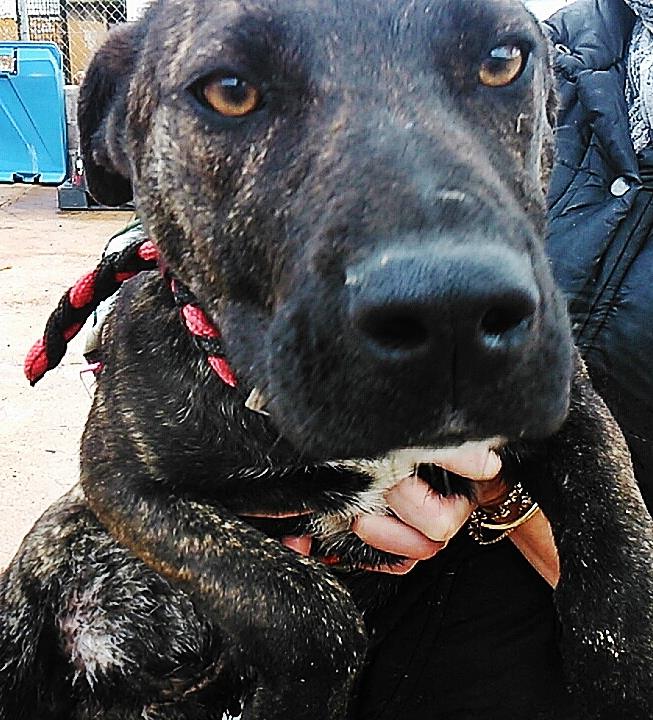 1009999_770994162924366_75275210_n