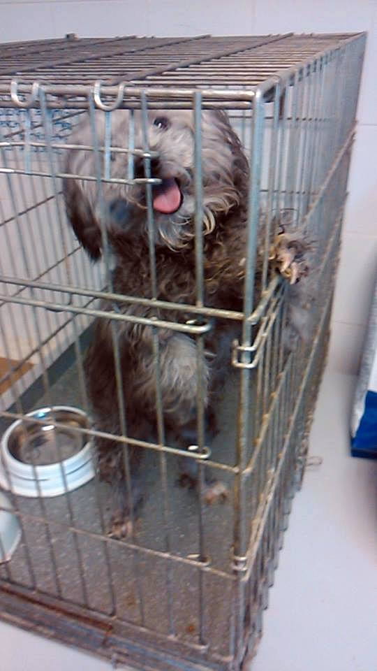 10154511_774274752596307_1084701552_n