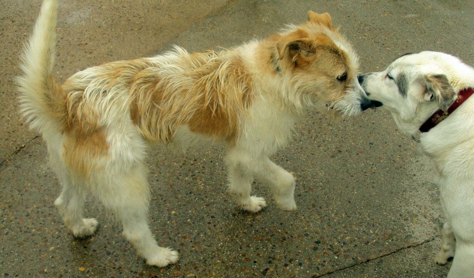 10173563_777820178908431_3907786822036230934_n