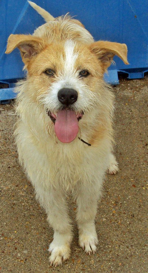 10175992_777820042241778_5200698523870343878_n