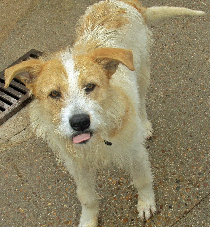 10177227_777820095575106_7367107688077667923_n