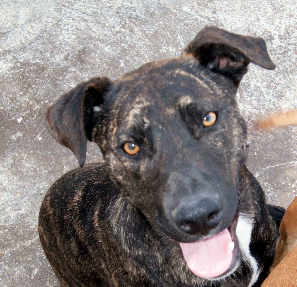 10305609_812120285478420_2125695545851060001_n