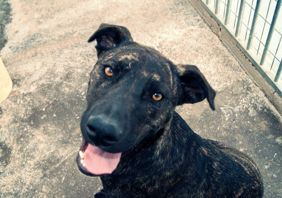 10367558_812120422145073_1908701791991281369_n