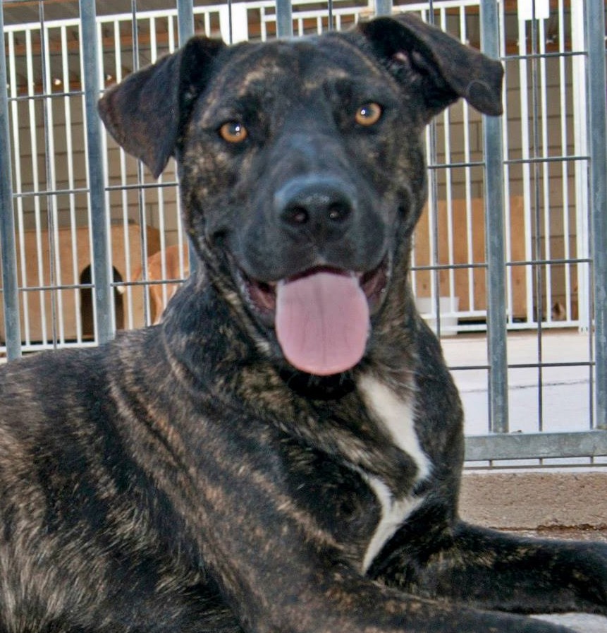 10428641_812121202144995_1922261545531794999_n