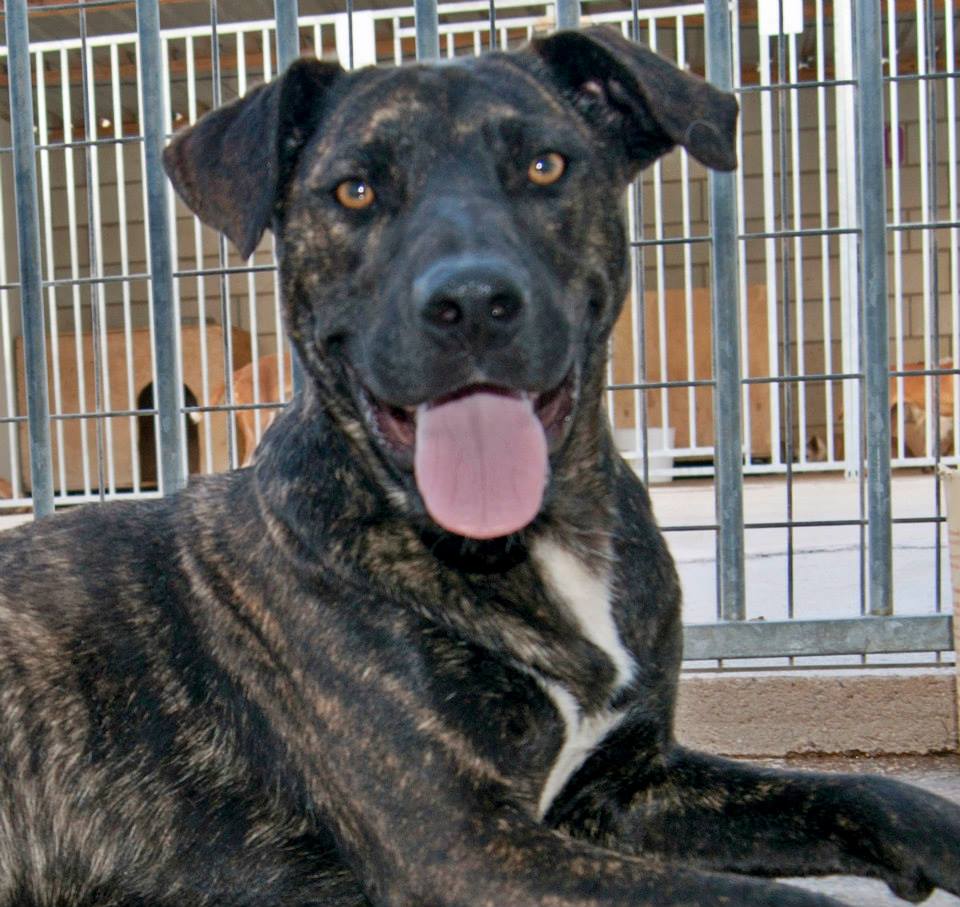 10428641_812121202144995_1922261545531794999_n