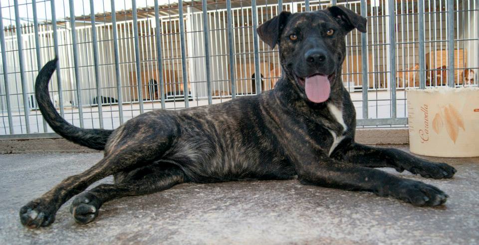 10445983_812120305478418_5712818379228520680_n