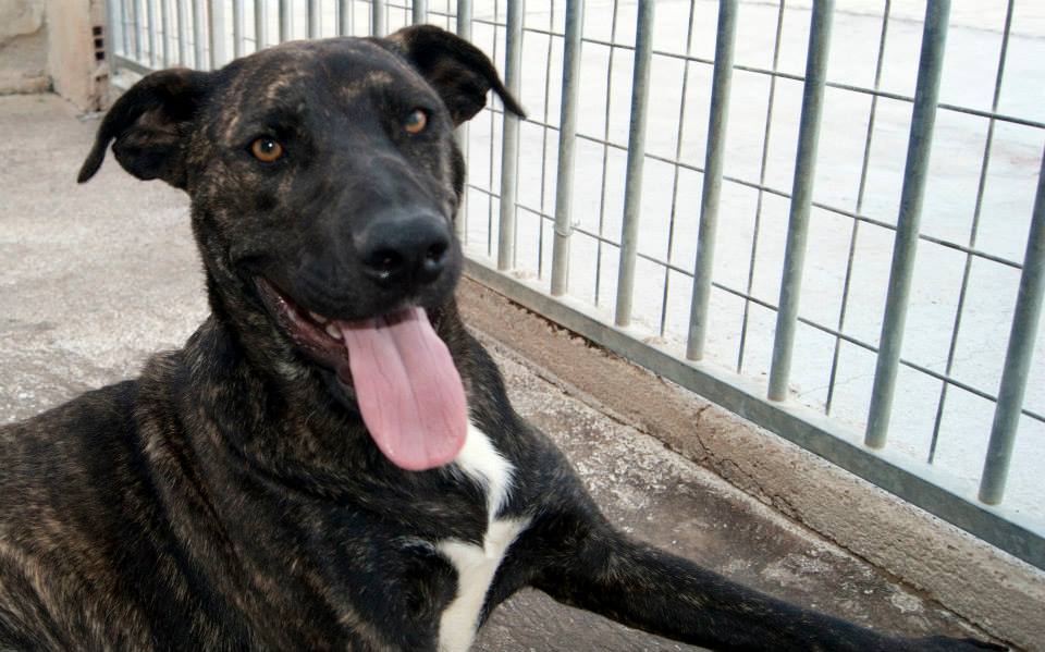 10447643_812121162144999_73235439191247377_n