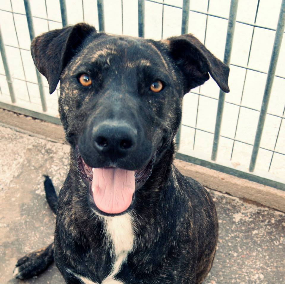 10450974_812121175478331_4164122177152989796_n