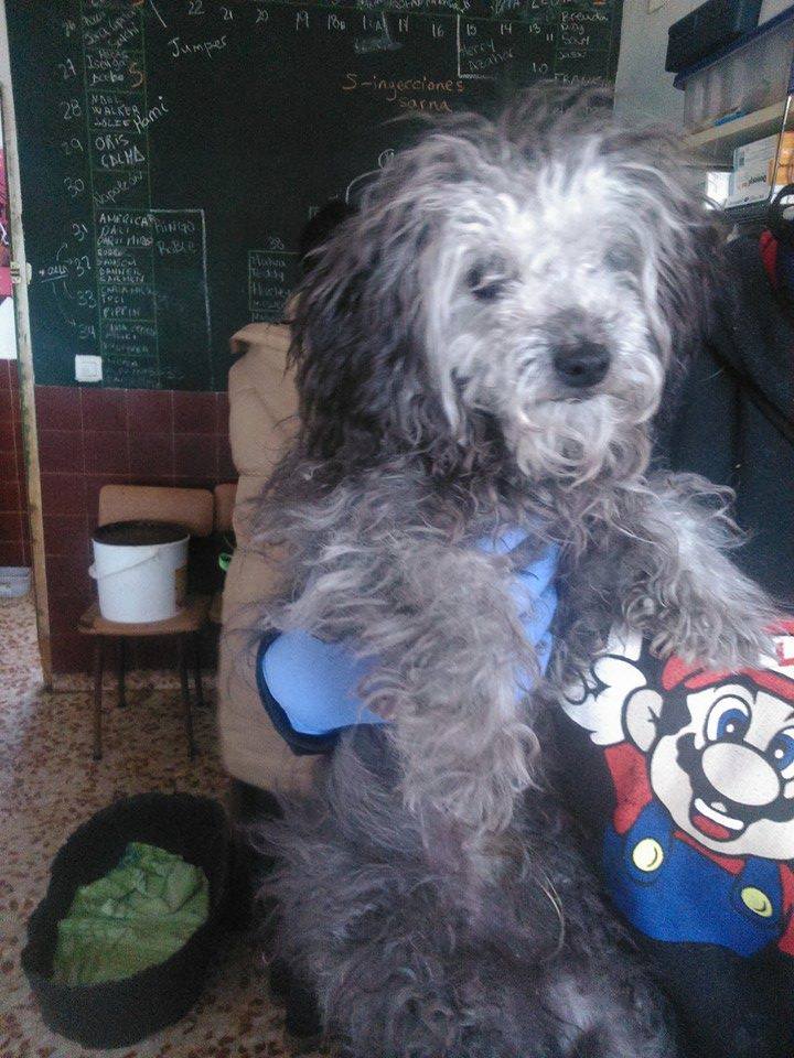 1947991_772568569433592_485341655_n