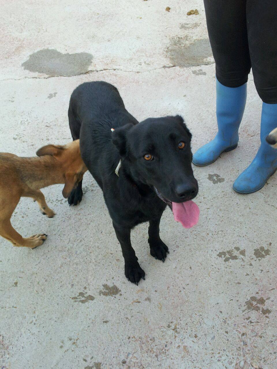 10015080_870233586333756_8841411486131944947_o