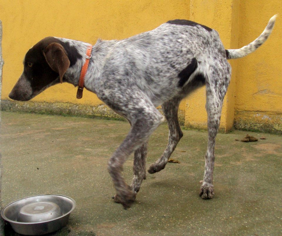 10371915_919120528111728_6144582208167476578_n