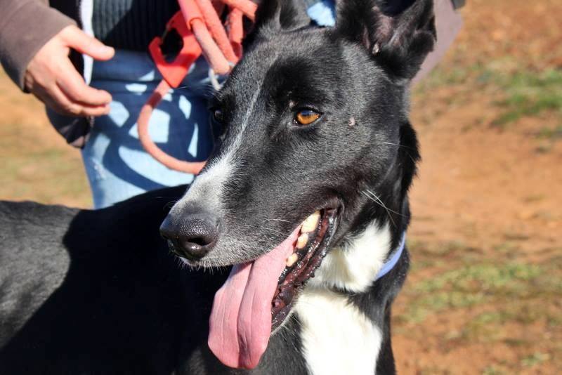 10401985_944871142203333_632672998437186220_n