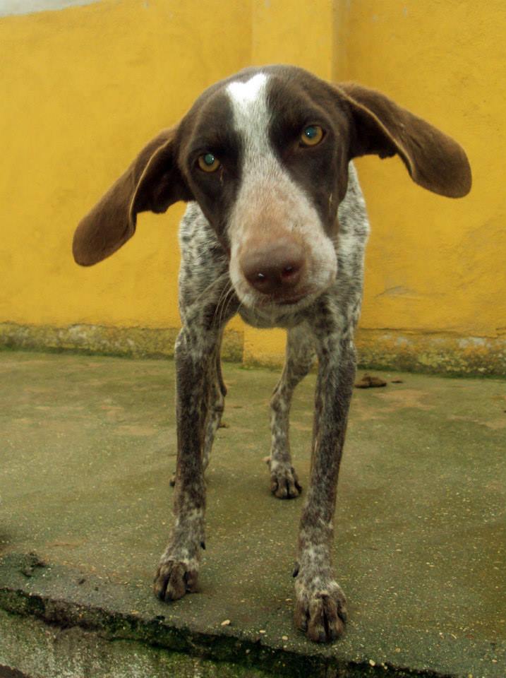 10402722_919120498111731_8373606453800061861_n