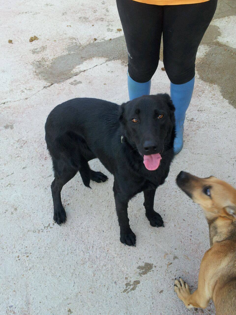 10431133_870233613000420_6949020781097633748_o