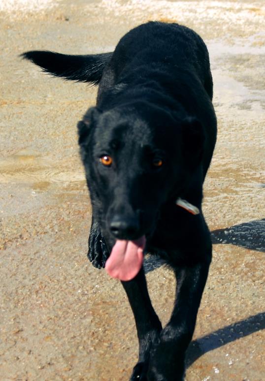 10454458_873793662644415_2025790008036174549_n