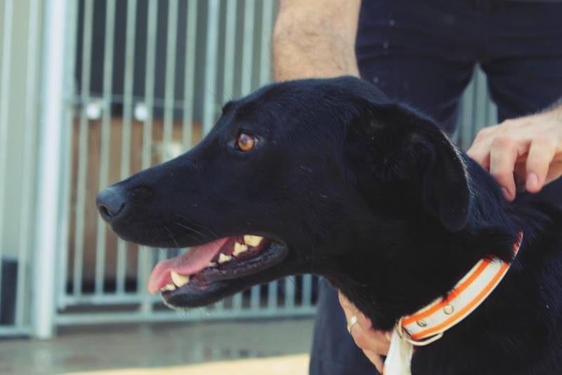 10494774_873793642644417_8660818977146344057_n