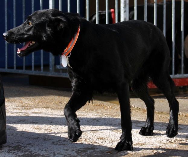 10689421_873793652644416_1278216912901178766_n