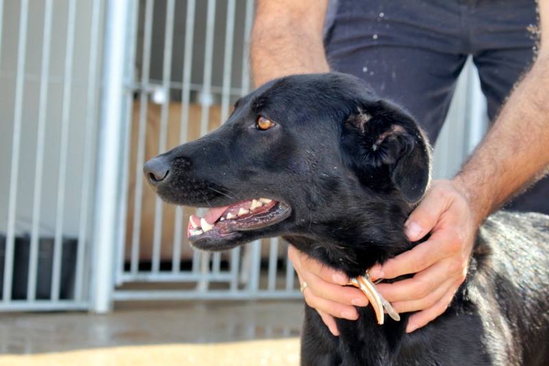 10710848_873793769311071_4345887904240167248_n