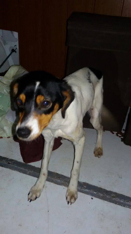 11018882_955749171115530_7342607789072615620_n