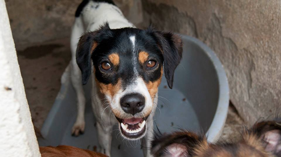 11059418_1034552889901824_4320162309674086040_n