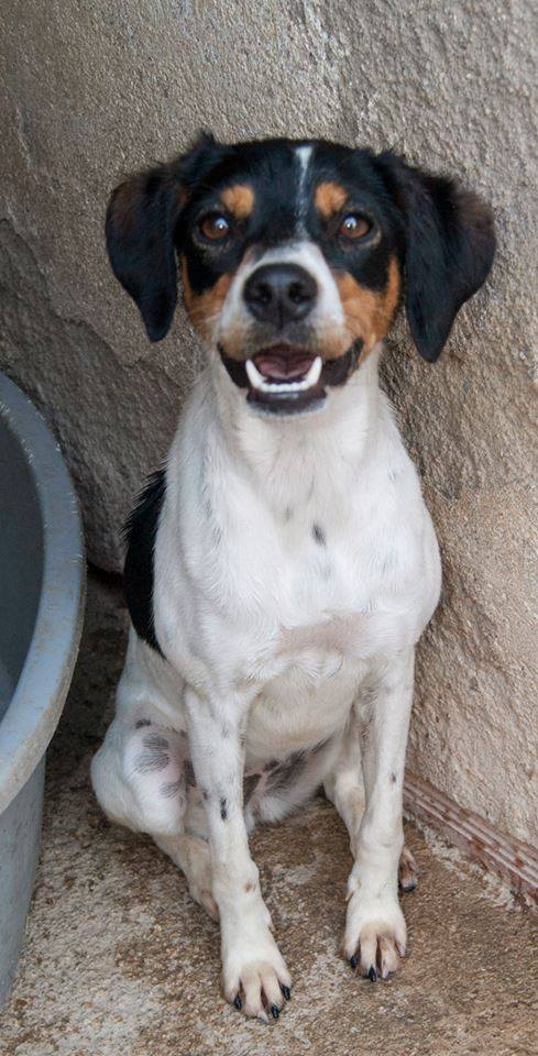 11760163_1034552893235157_1184596799246426469_n