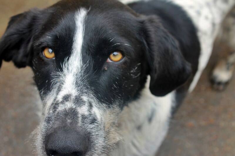 12079555_1087739681249811_6947573746890630447_n