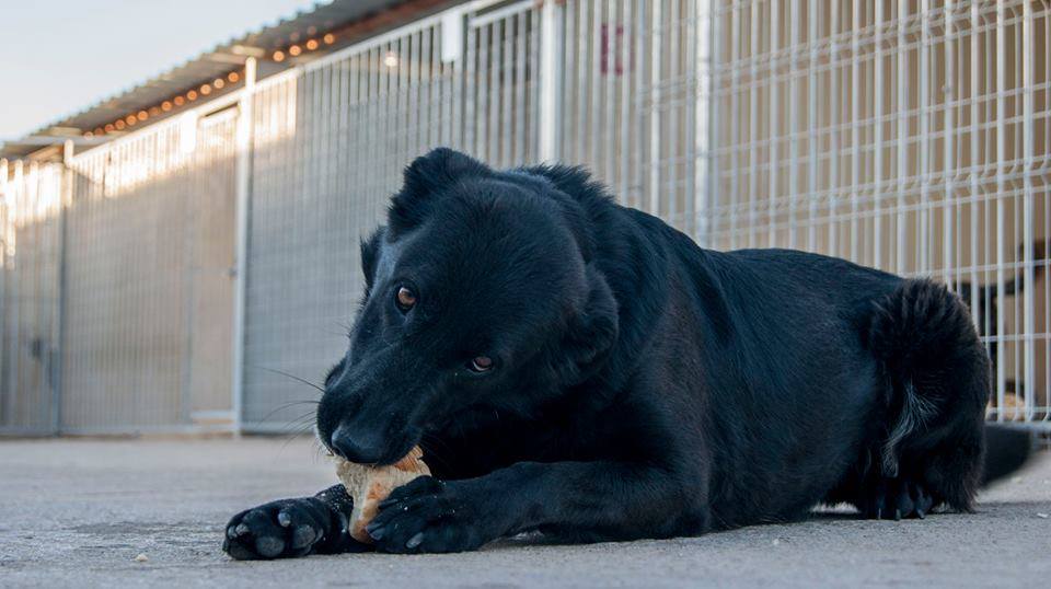 13092016_1199746030049175_3011643833686143695_n(1)